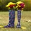 Purple blue flowers